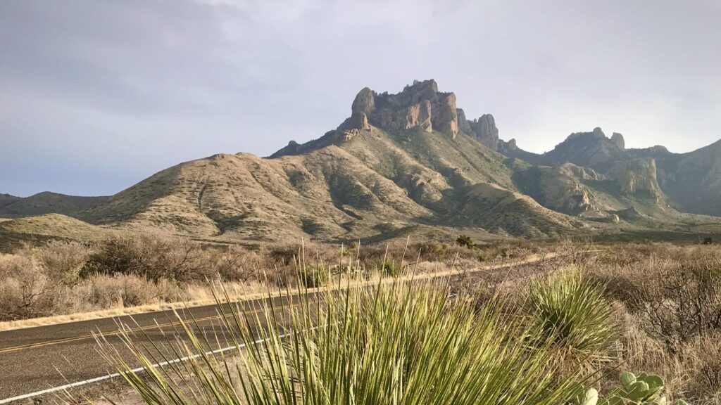 Scenic desert road winding through rugged mountain peaks in Big Bend National Park.
