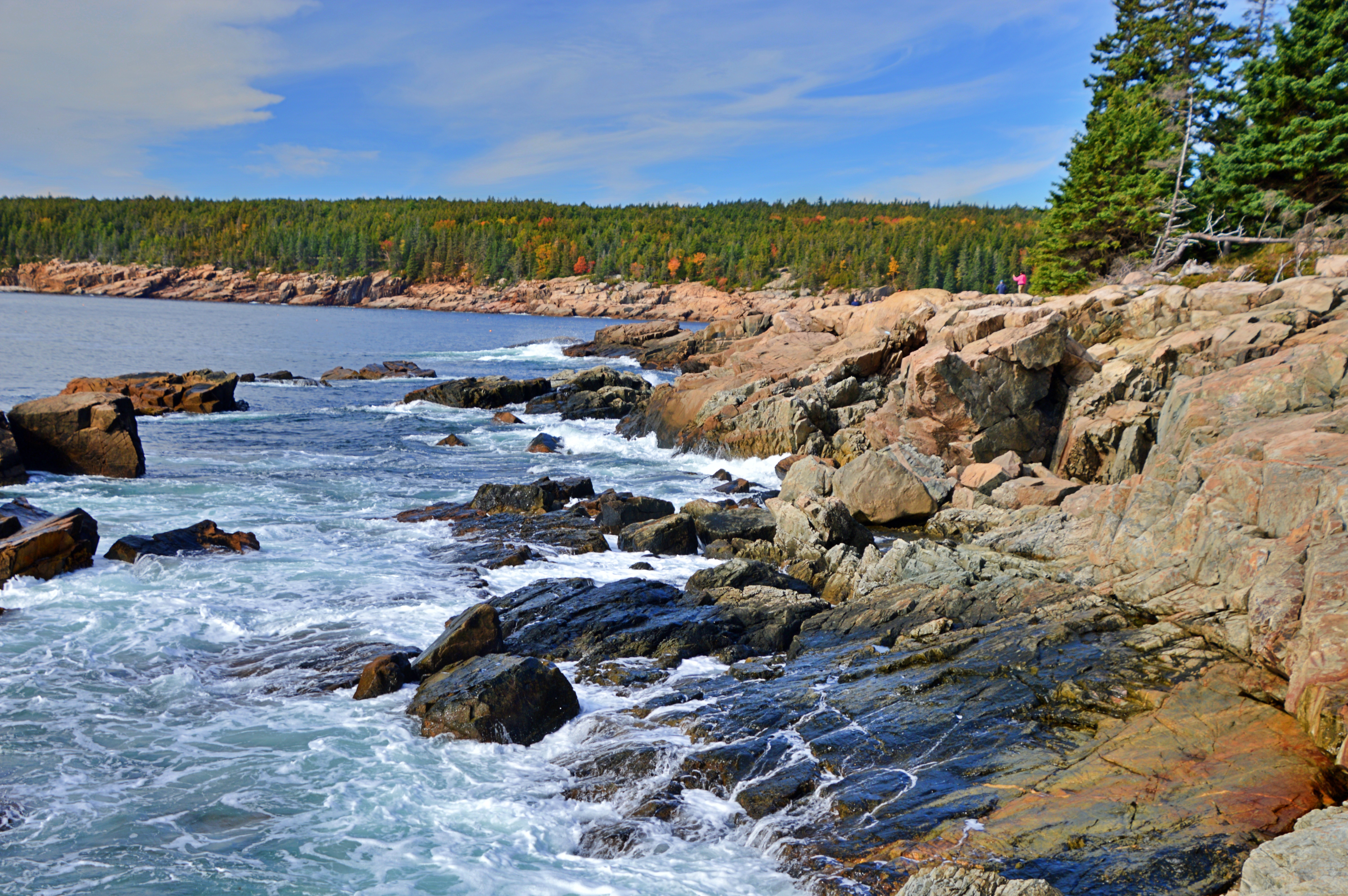 Acadia National Park rocky coastline with ocean waves and forested shoreline in Maine