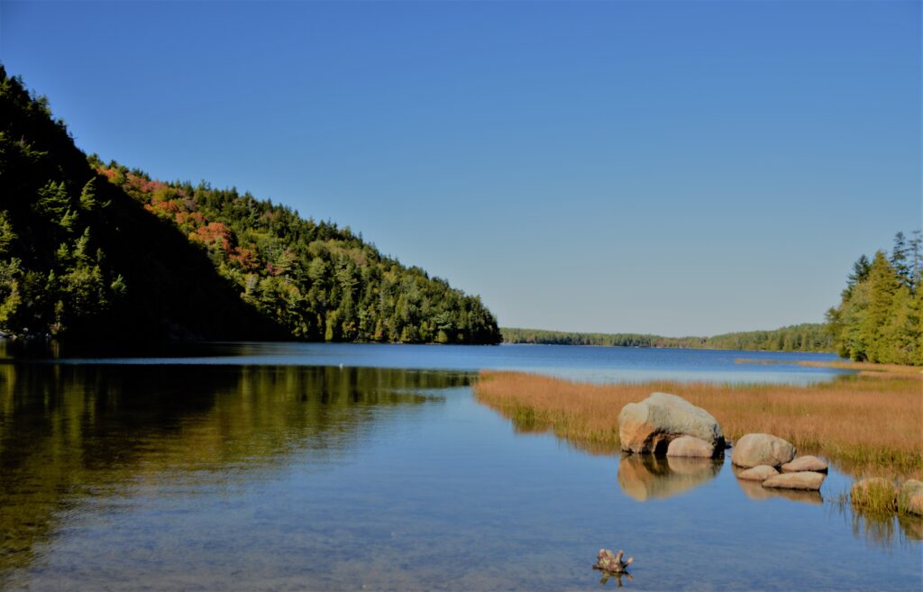 Still water and forested shoreline reflected in Echo Lake at Acadia National Park