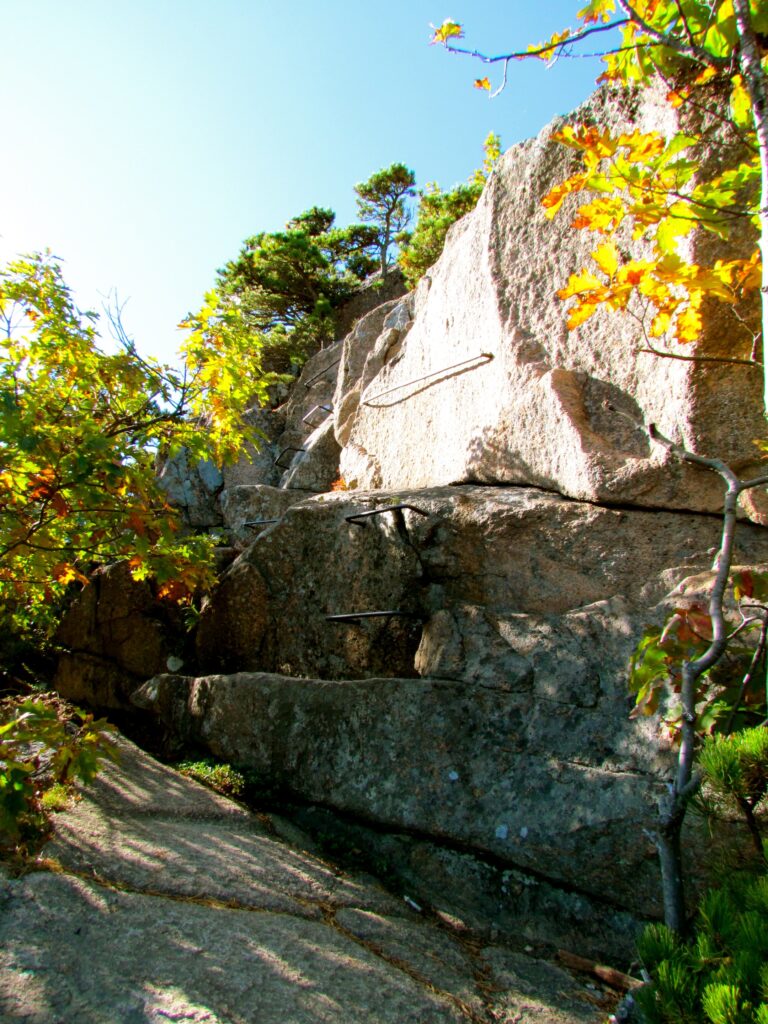 Iron rungs bolted into a granite cliff face along the Beehive Trail in Acadia National Park, surrounded by fall foliage