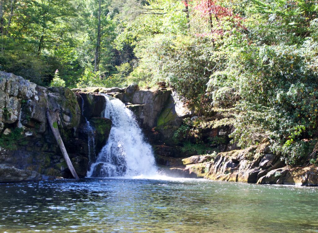 Abrams Falls cascading over mossy rocks into a calm, tree-lined pool