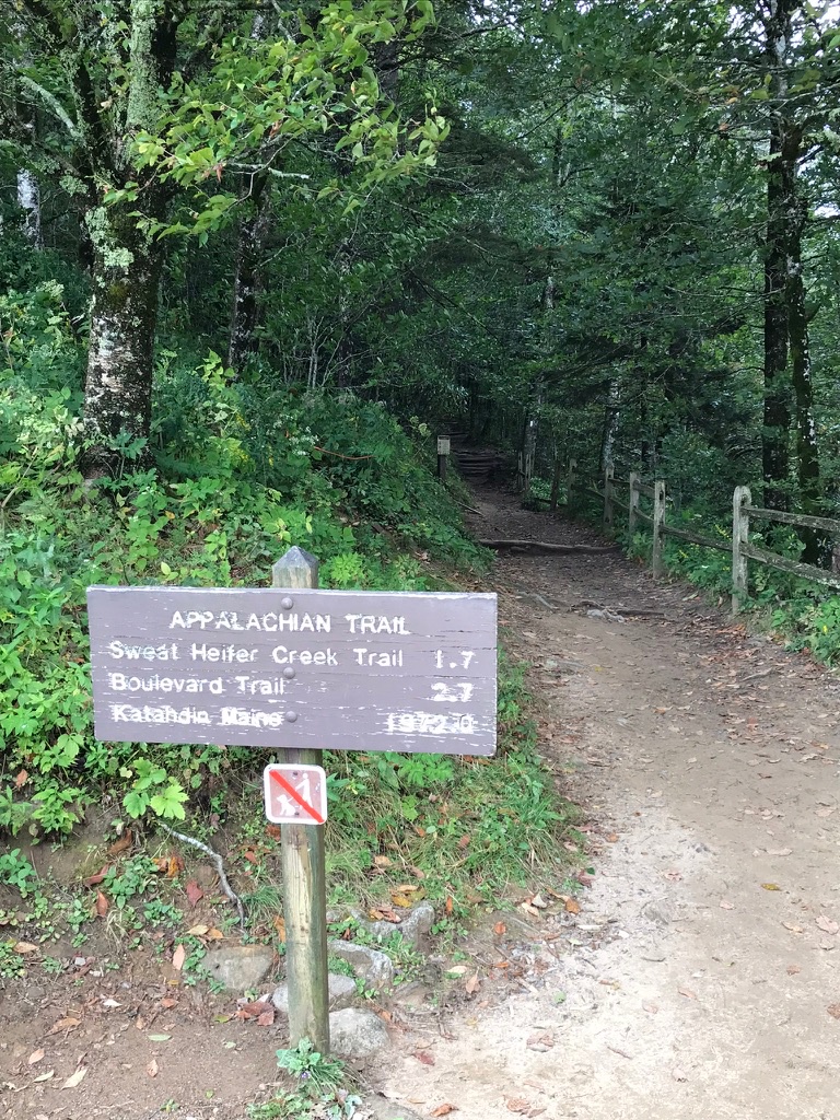 A wooden Appalachian Trail sign at Newfound Gap listing distances to Sweat Heifer Creek Trail, Boulevard Trail, and Katahdin, Maine, with a forested trail leading into the woods behind it