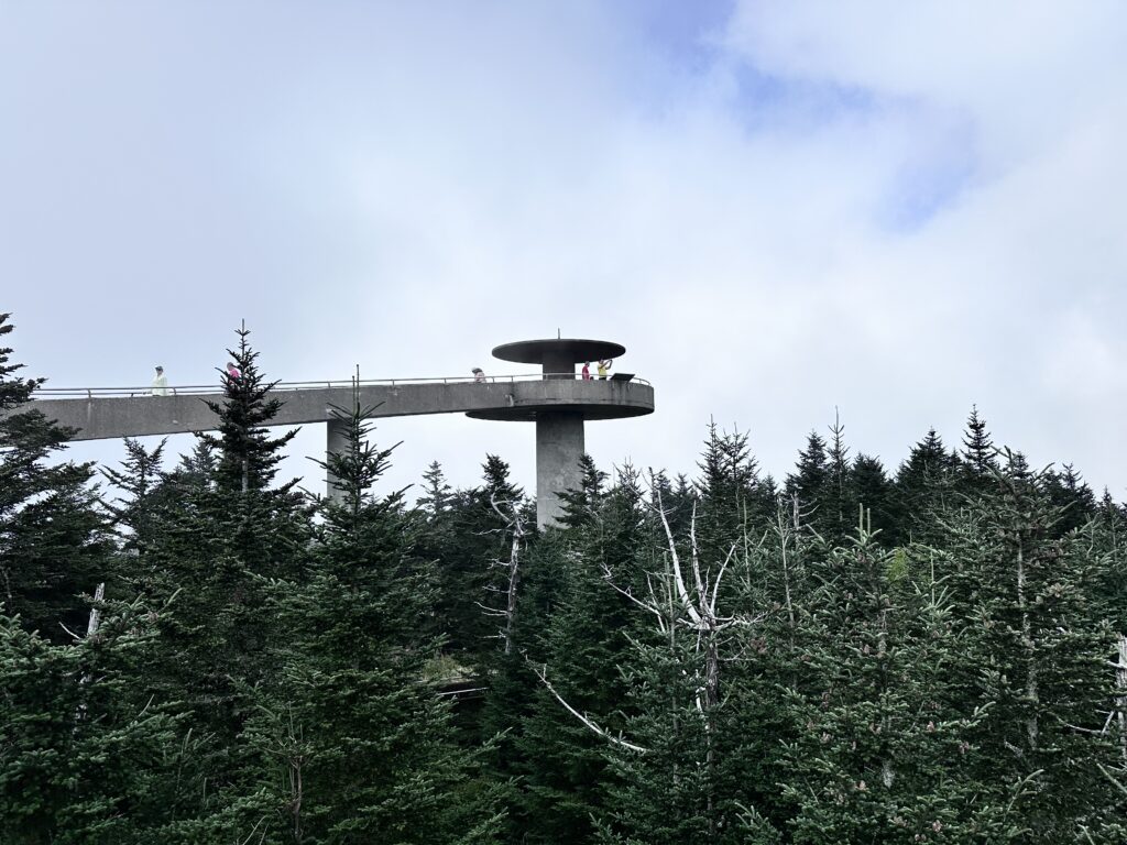 The spiral concrete ramp and observation platform of the Kuwohi tower rising above a dense evergreen forest, with visitors walking along the walkway