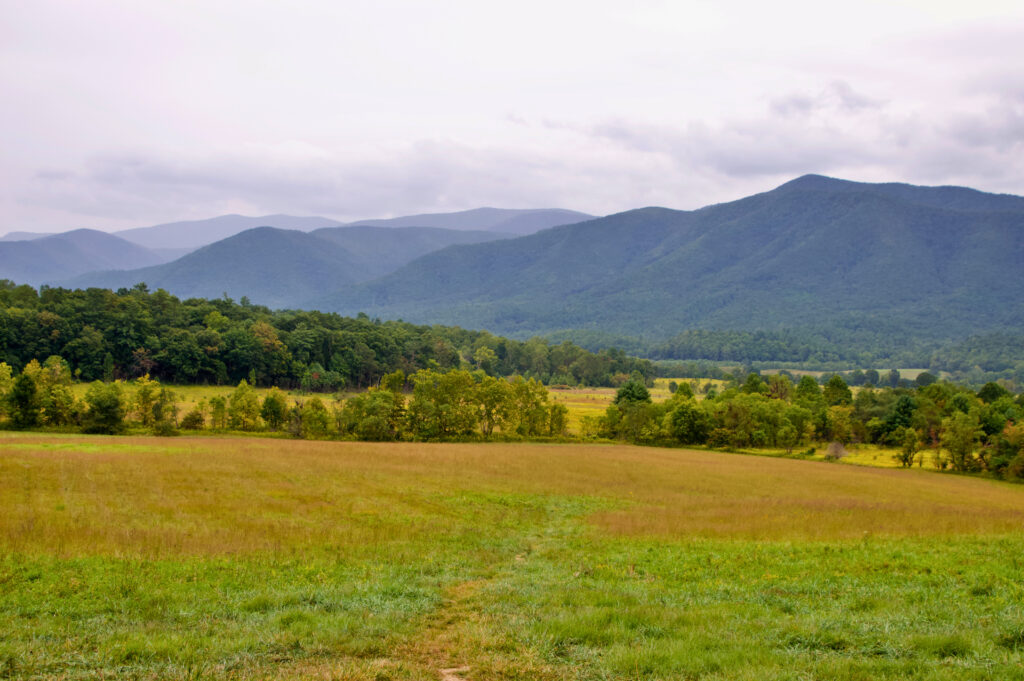 A wide grassy meadow with a worn trail leading toward a tree line, backed by layered blue-green mountain ridges under a cloudy sky