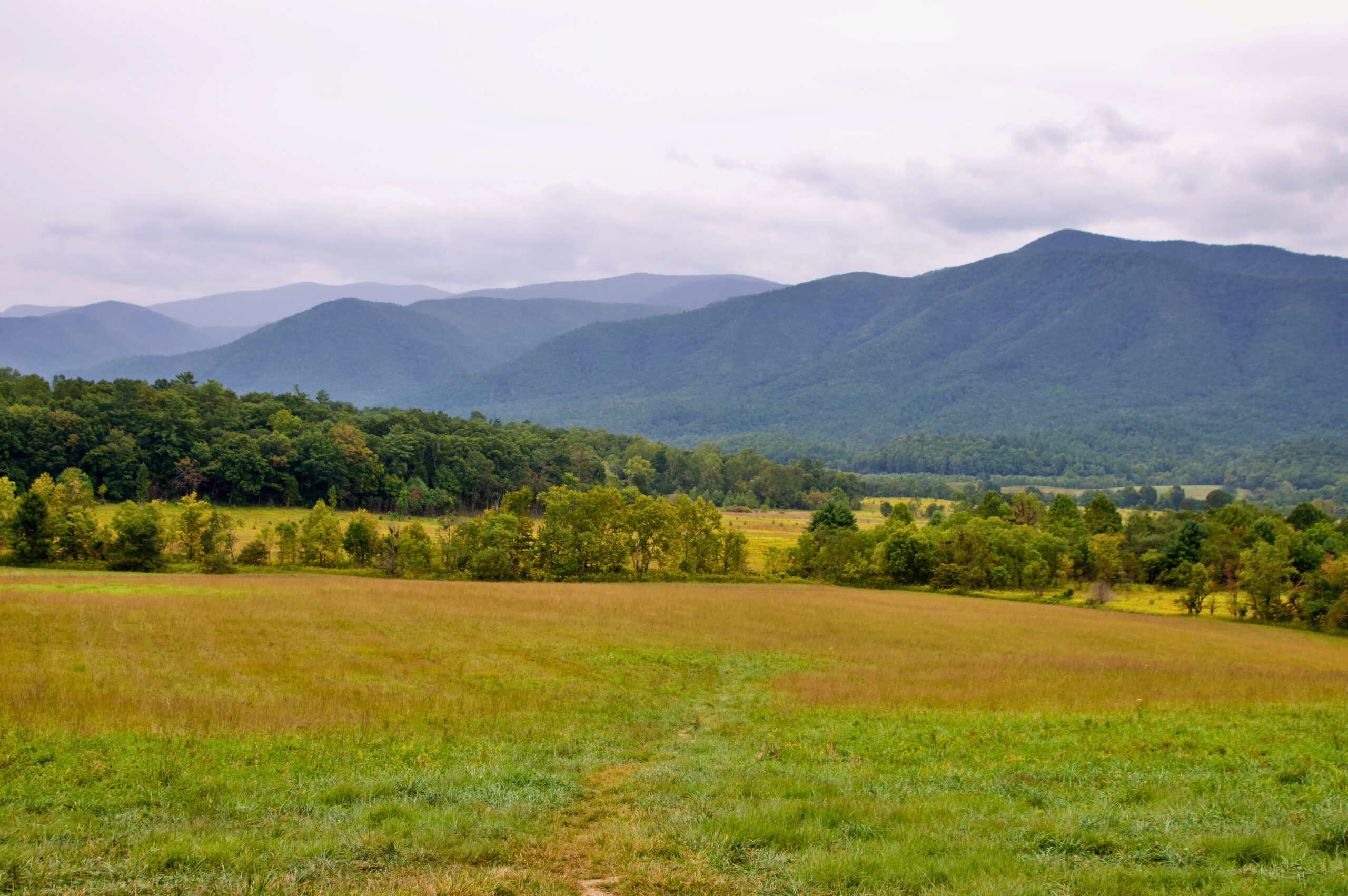 A wide grassy meadow with a worn trail leading toward a tree line, backed by layered blue-green mountain ridges under a cloudy sky