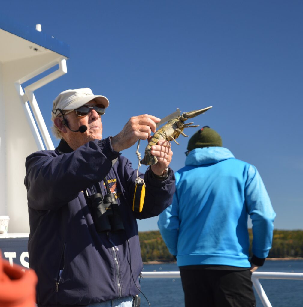 A boat tour guide holding a lobster and explaining lobster measurement to passengers on a Frenchman Bay nature cruise