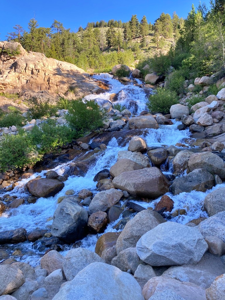 A rushing mountain stream cascading over large boulders and rocks, bordered by green shrubs and pine trees, under a clear blue sky