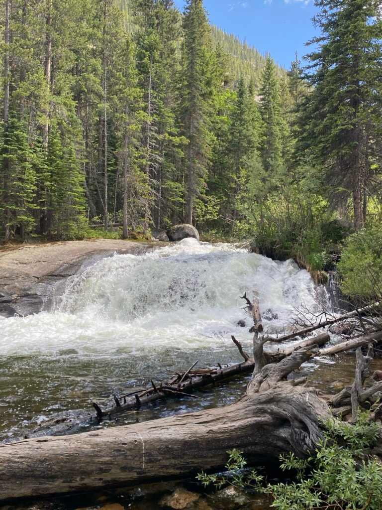 A wide, low waterfall cascading over smooth granite rock into a shallow, rocky creek, with a fallen log crossing the water in the foreground and dense pine forest surrounding the scene