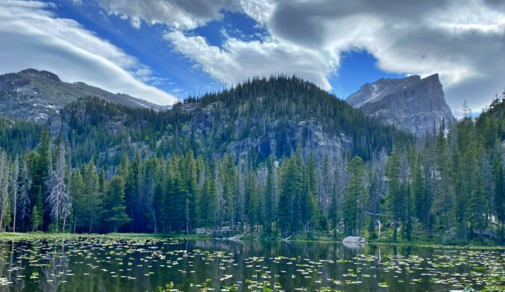 A small lake covered in lily pads, surrounded by dense pine forest, with a rocky mountain ridge and Hallett Peak rising in the background under a partly cloudy sky