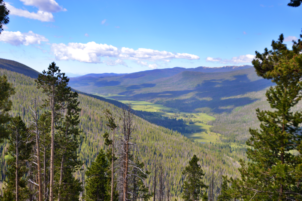 A wide, forested mountain valley seen from Farview Curve on Trail Ridge Road, with a green meadow floor running down the center, distant mountain ridges, and pine trees framing the foreground under a blue sky with scattered clouds