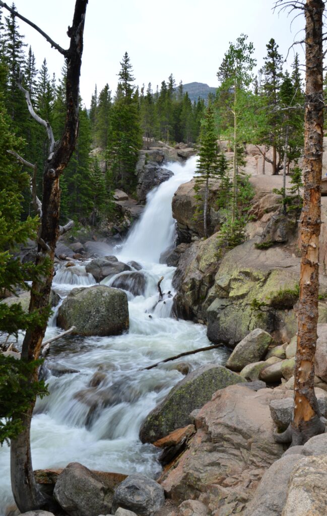 A tall waterfall cascading over granite rock through a forested gorge, surrounded by pine trees and boulders, under an overcast sky