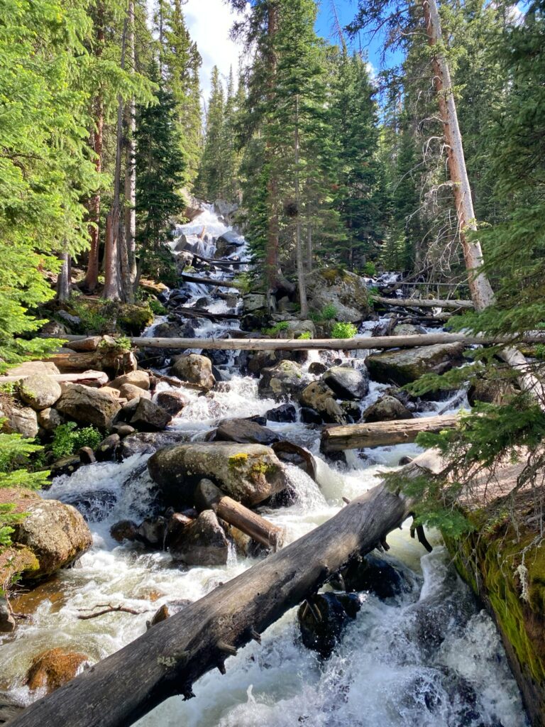 A steep, powerful waterfall cascading over large boulders and fallen logs through a dense pine forest, with sunlight breaking through the trees above