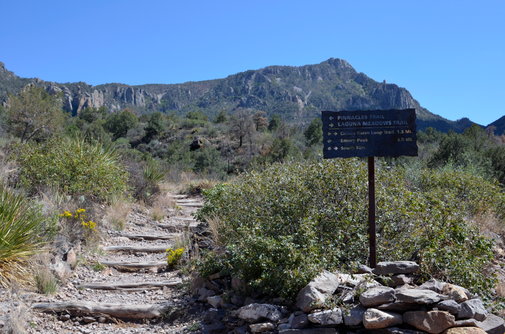 A wooden trail sign marks the junction of the Pinnacles Trail, Laguna Meadows Trail, Chisos Basin Loop Trail, Emory Peak, and South Rim trails in the Chisos Basin at Big Bend National Park