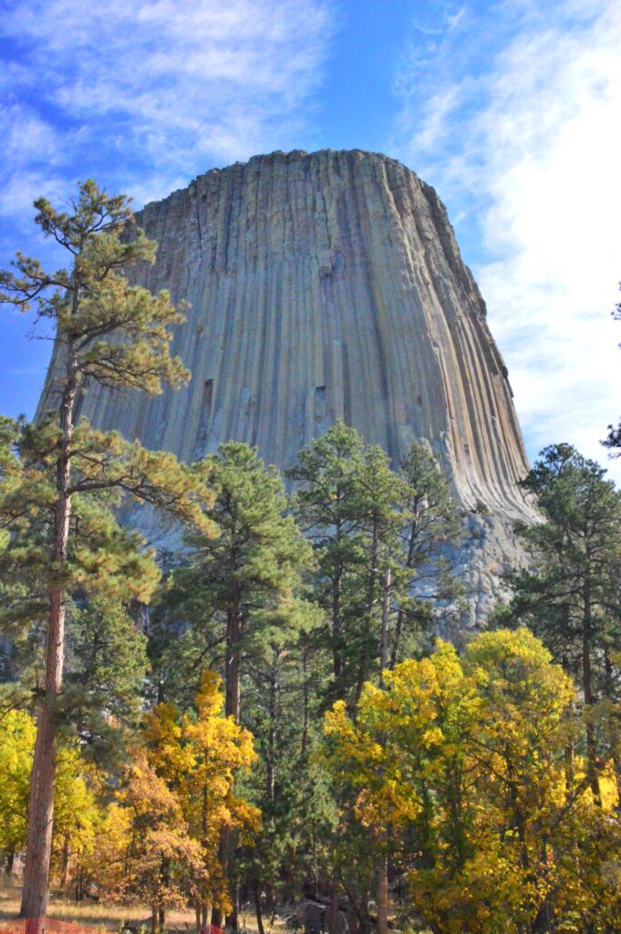 Devils Tower rising above golden aspen and pine trees against a blue sky in Wyoming