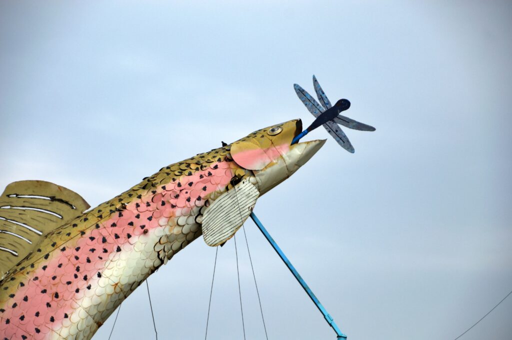 Close-up of a giant metal rainbow trout sculpture with pink, gold, and white scales, mouth open toward a blue metal dragonfly, set against a clear sky