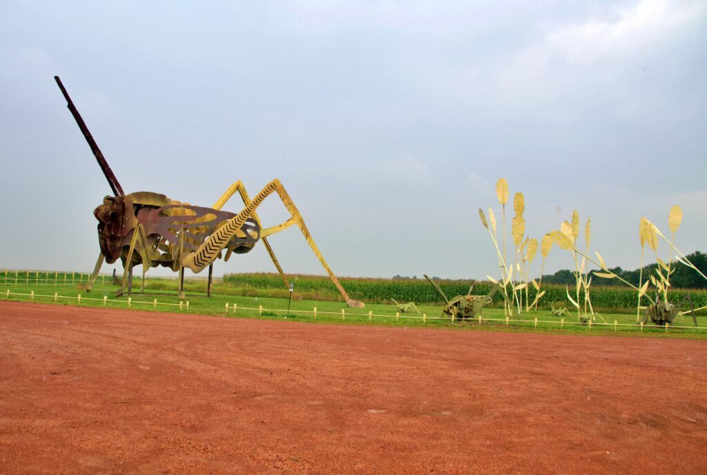 A giant metal grasshopper sculpture with long antennae standing over a field, with smaller grasshopper sculptures and tall golden metal wheat stalks nearby, and a real cornfield in the background