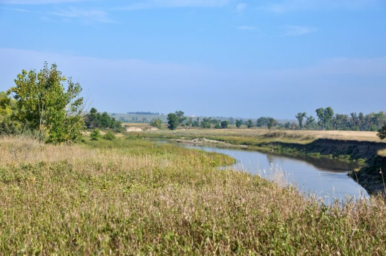 A peaceful view of the Knife River winding through golden prairie grasslands at Knife River Indian Villages National Historic Site in Stanton, North Dakota. Cottonwood trees line the gently curving riverbank under a clear blue sky, with the rolling North Dakota plains stretching to the horizon. The Hidatsa and Mandan peoples built their villages along this river for centuries, and it was here that Lewis and Clark wintered in 1804-05 before continuing west toward the Pacific
