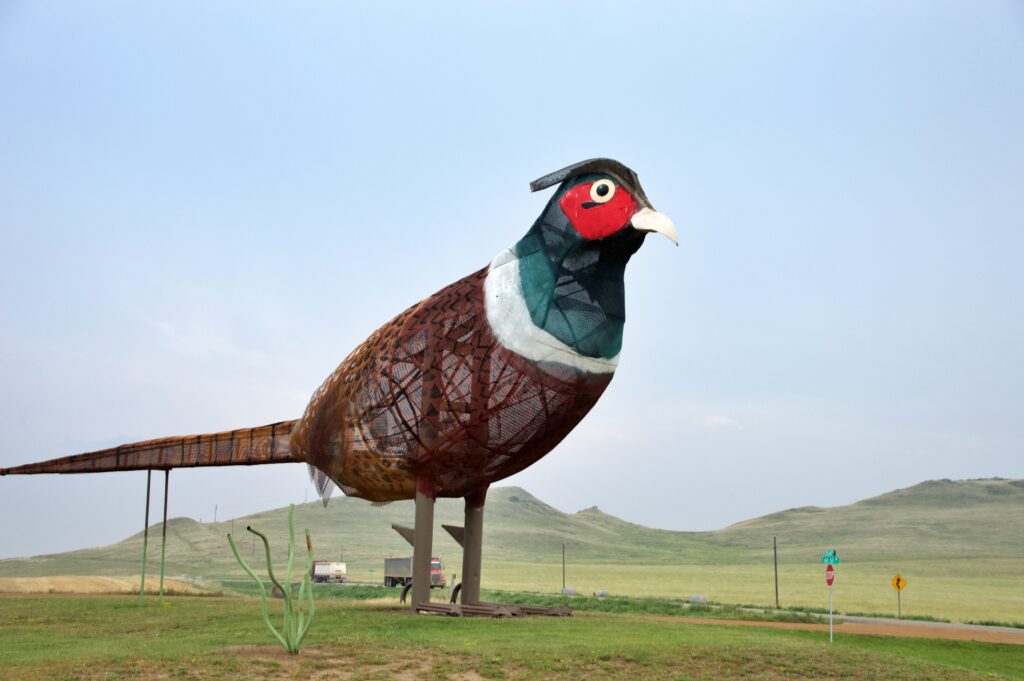 Close-up of a giant metal pheasant sculpture with a red face, dark green head, white neck ring, and detailed mesh feathers, standing on tall legs above a grassy field with rolling hills and semi-trucks visible in the background