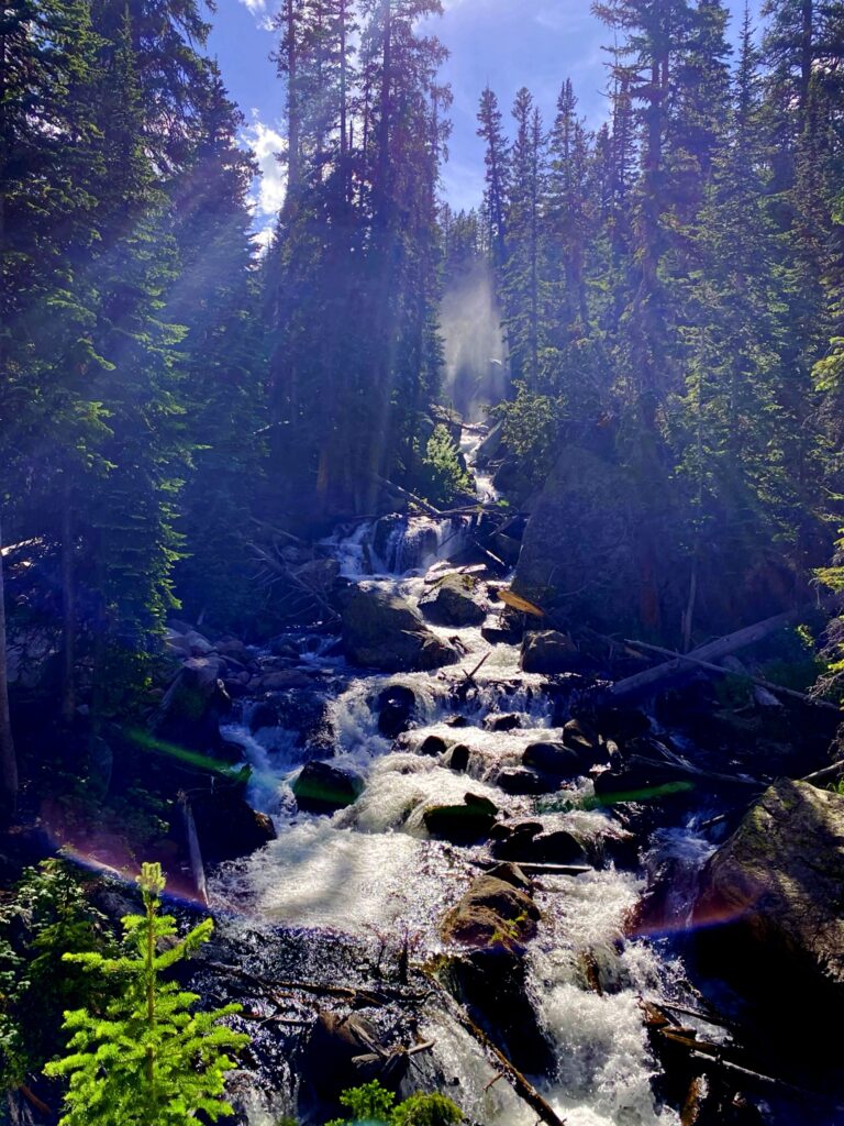 A rushing waterfall cascading over dark rocks and fallen logs through a dense pine forest, with mist rising off the water and sunlight filtering through the trees