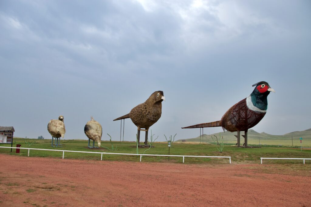 Four giant metal pheasant sculptures of varying sizes standing on a grassy field, including a large rooster with a red face and green neck and a smaller brown hen, with rolling hills in the background