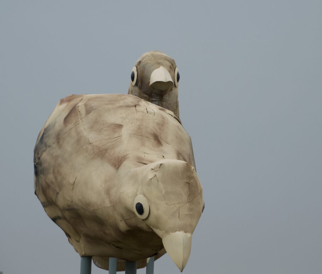 Close-up of two round, tan-colored metal pheasant chick sculptures with large black eyes and pale beaks, set against a cloudy gray sky