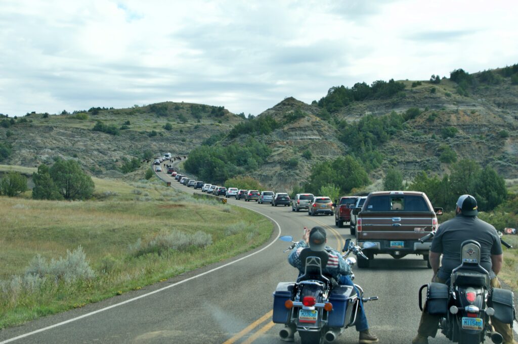 Bison herd blocking traffic on the Scenic Loop Road as motorcyclists and cars wait in Theodore Roosevelt National Park's South Unit