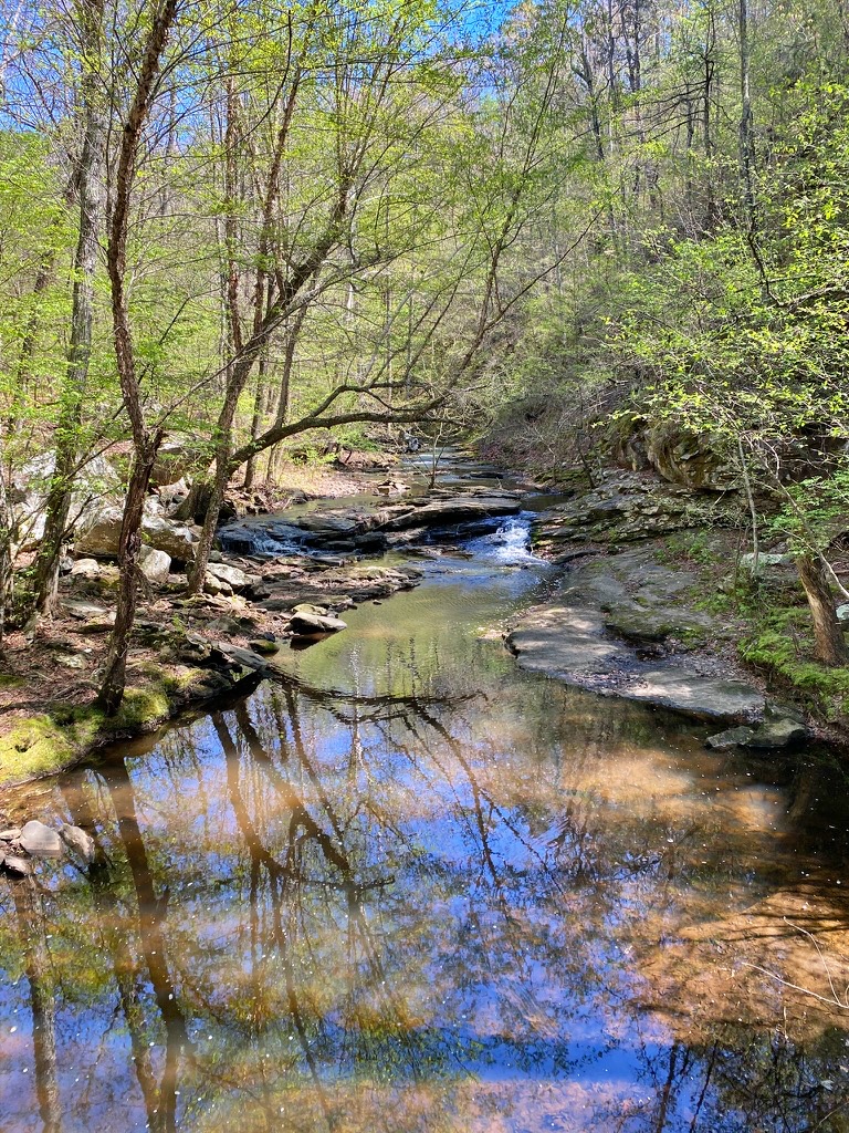 Cedar Creek flowing calmly through a forested section of the Cedar Creek Trail at Petit Jean State Park