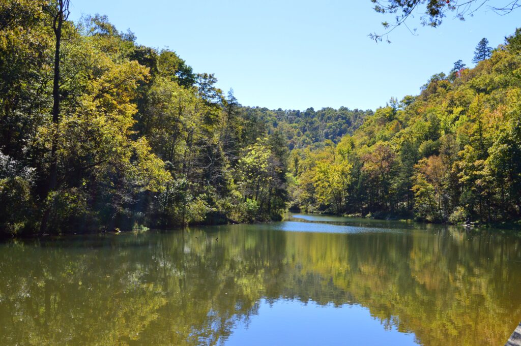 Mirror Lake reflecting the surrounding forest at Blanchard Springs Caverns, Arkansas