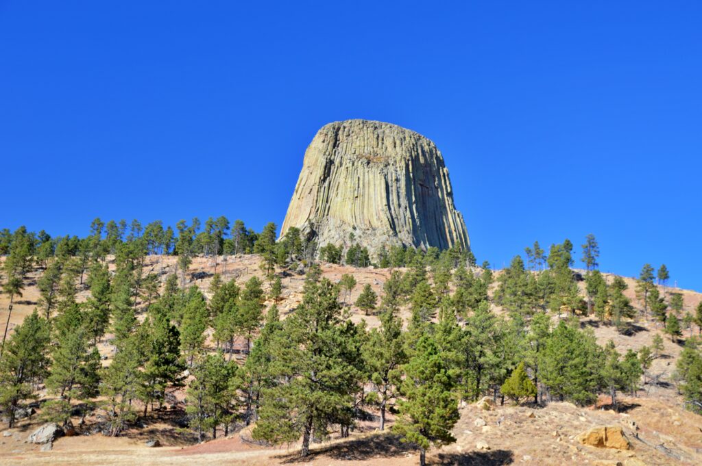 Devils Tower rising above pine-covered hills near Sundance, Wyoming, against a clear blue sky